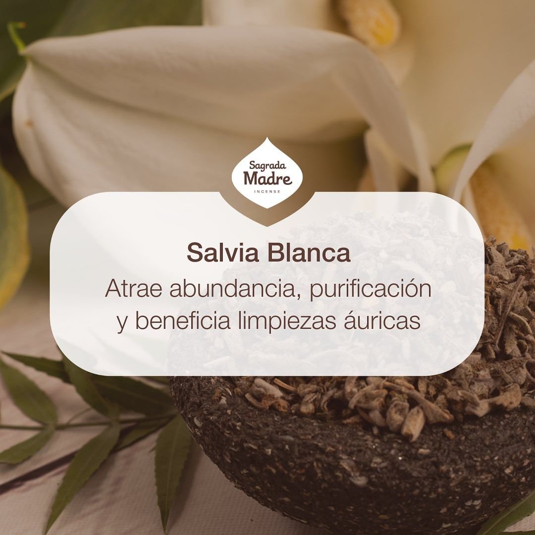 SM Línea Hierbas - SALVIA BLANCA