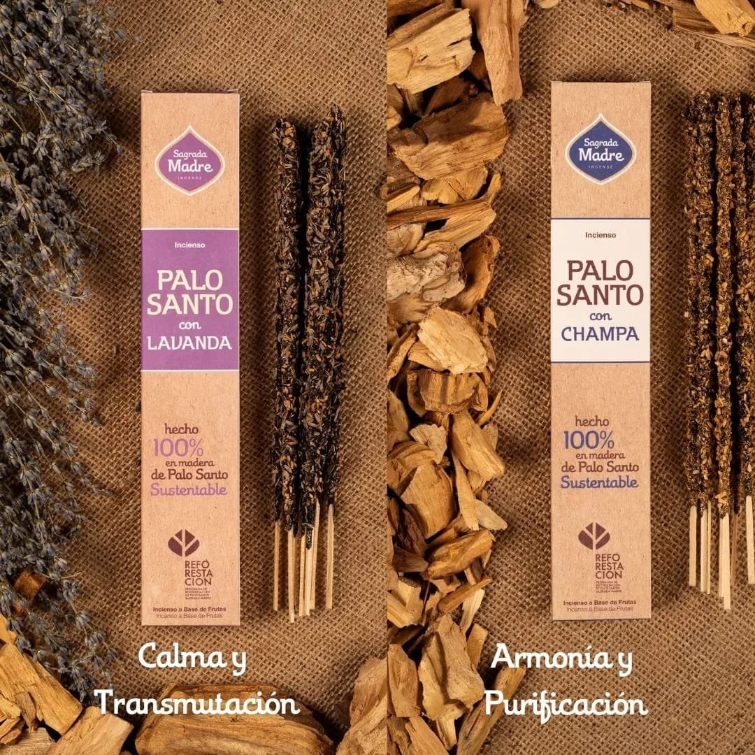 SM Línea Palo Santo - CHAMPA