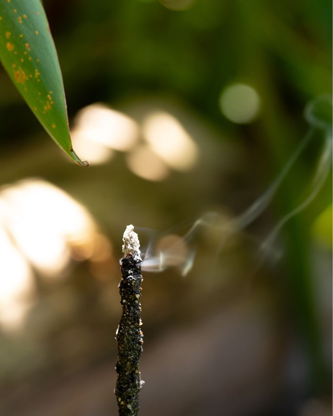 SM Línea Natural - RUDA ROMERO INCIENSO