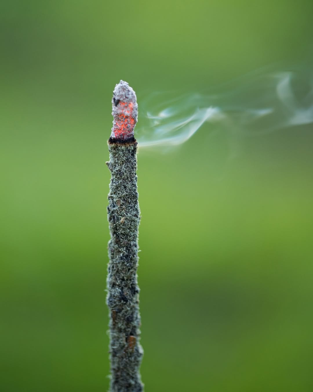 MS Sahumerio Blend Masala - GAIA